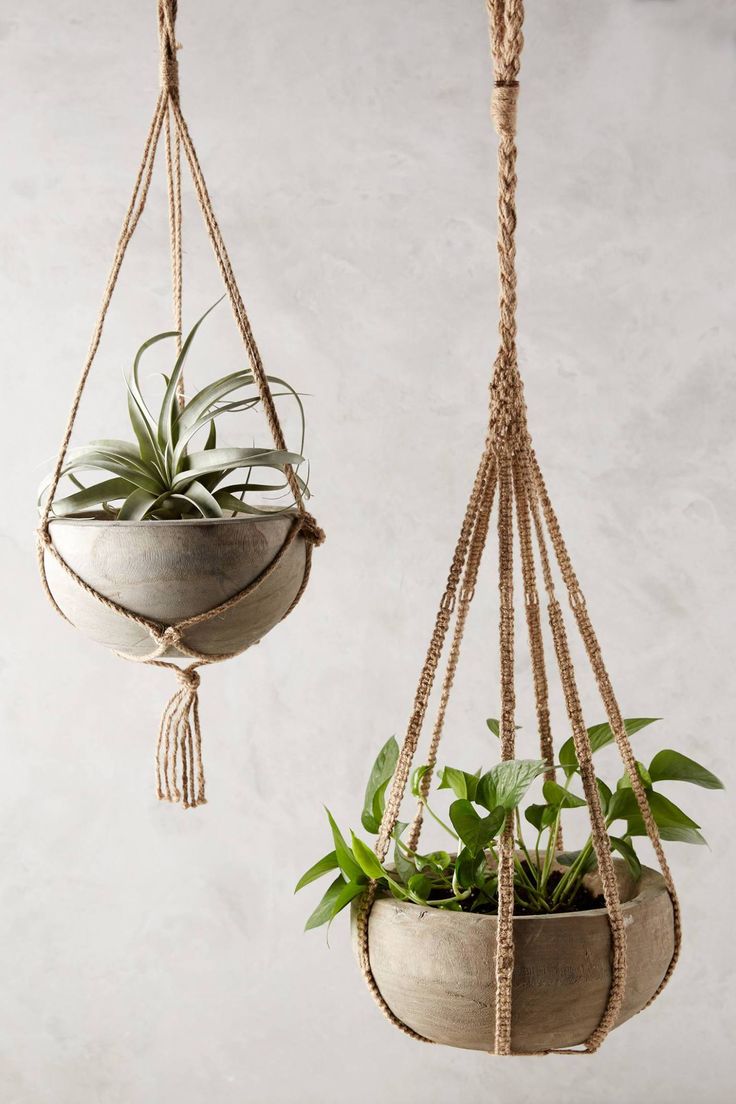 Upcycle Progress Hanging Planters Aesthetics of Design