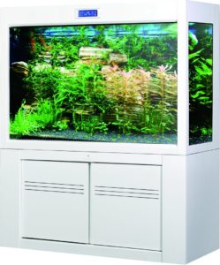 Top Five Constraints: Upside Down Fish Tank – Aesthetics of Design