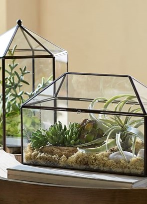 Design Review Report: Terrarium – Aesthetics of Design